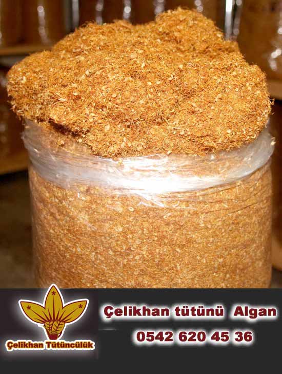 Çelikhan Tütünü Algan
